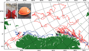 Different float designs may take radically different paths across the oceans.