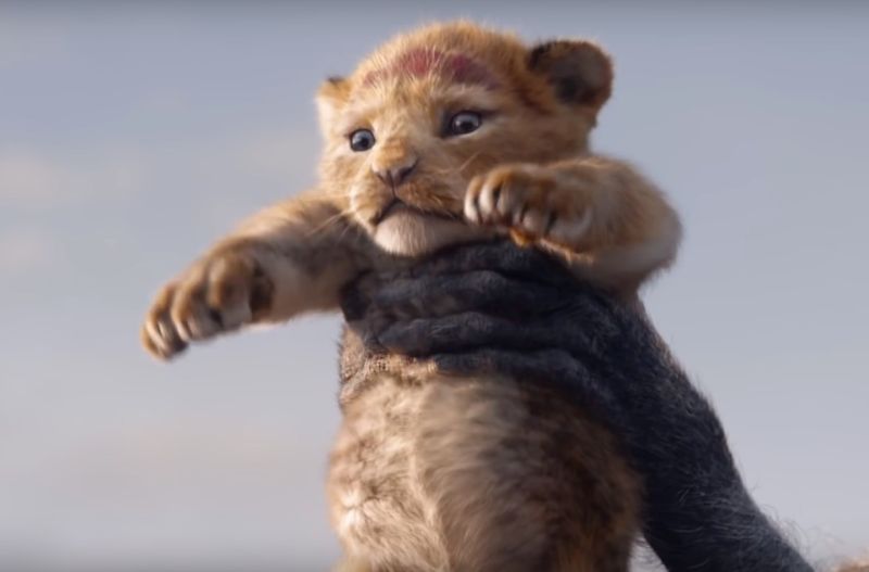 D'awwww... newly anointed baby Simba is presented to his people for the first time.