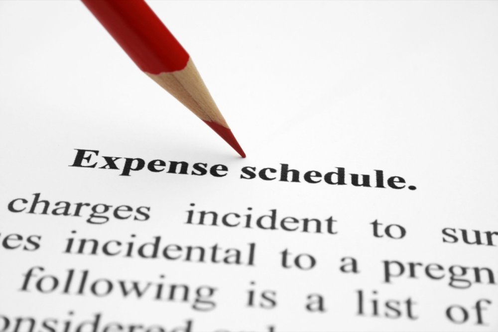 Expense Reduction Consultant