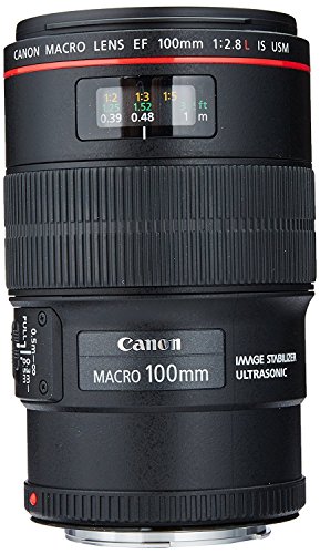 Canon EF 100mm f/2.8L Macro IS USM Lens