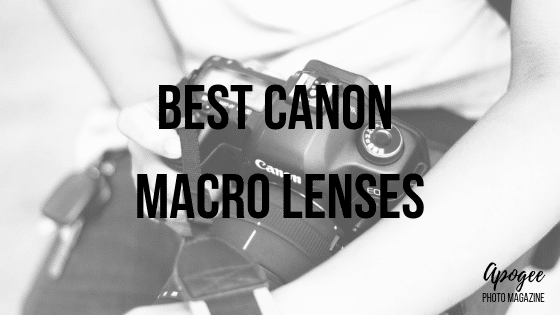 best canon macro lens