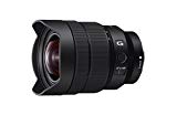 Sony - FE 12-24mm F4 G Wide-angle Zoom Lens (SEL1224G)