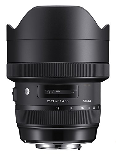 Sigma 12-24mm f/4