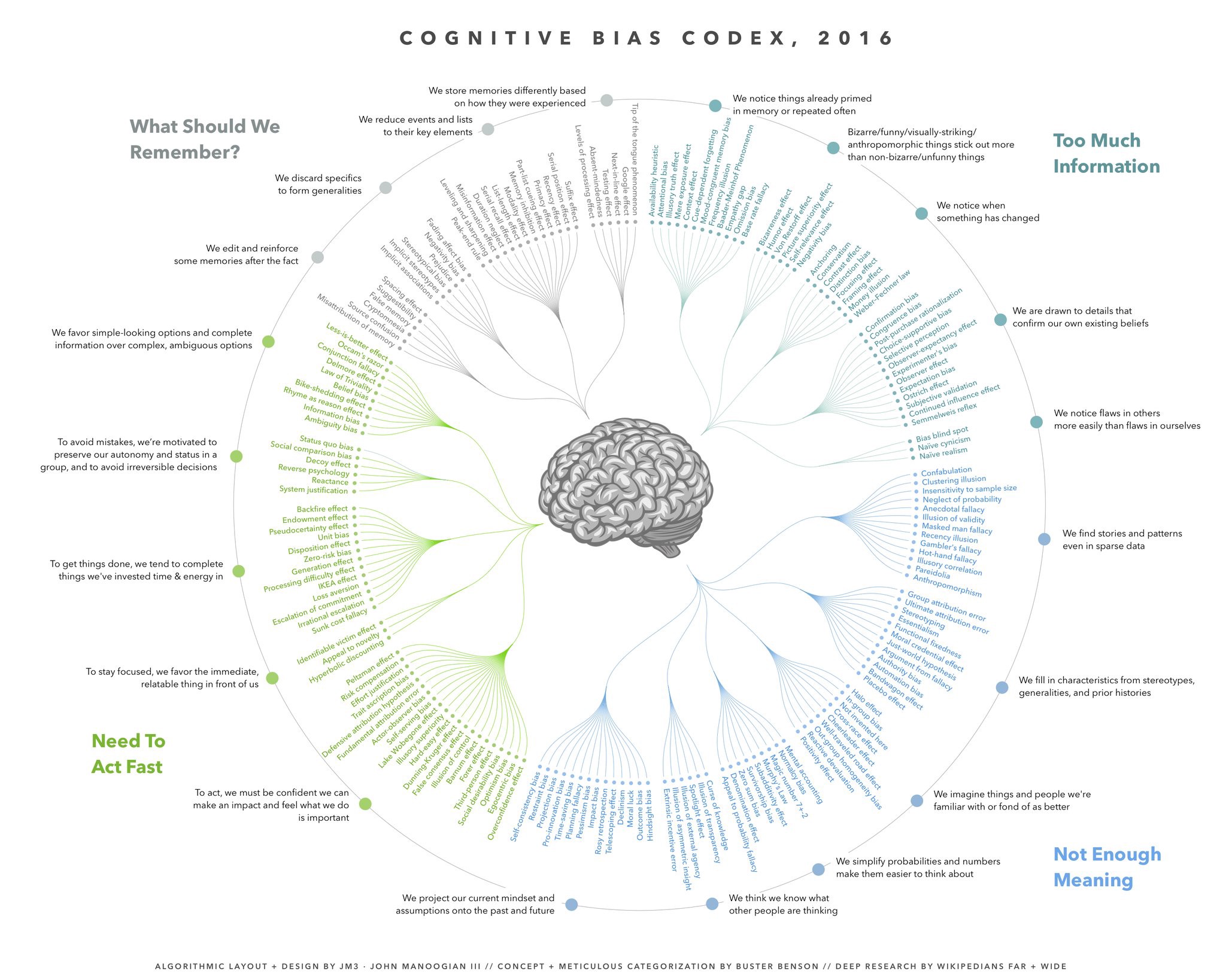 Cognitive Bias