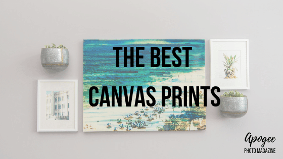 best canvas prints