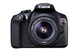 Canon EOS Rebel T6 Digital SLR Camera Kit with EF-S 18-55mm f/3.5-5.6 IS II Lens (Black)