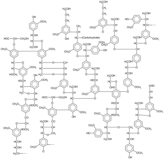 The complicated structure of lignin.