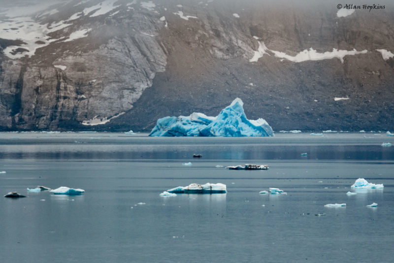 Dwindling sea ice next to a mostly snowless cliff shore.