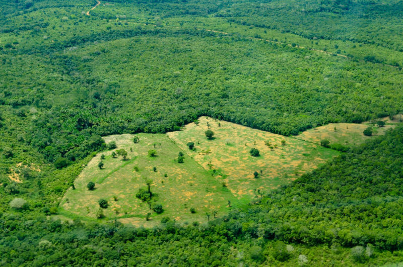 Aerial view of the Amazon rainforest, near Manaus the capital of the Brazilian state of Amazonas, Brazil. 