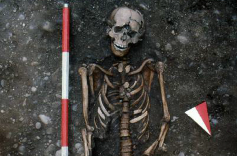 The skeleton was found buried with two buckles which likely once held a shroud in place.