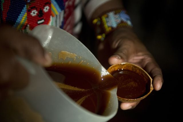 A healer starts a yage ceremony in Colombia. Yage is a mixture of the Ayahuasca hallucinogenic liana and a psychoactive bush.