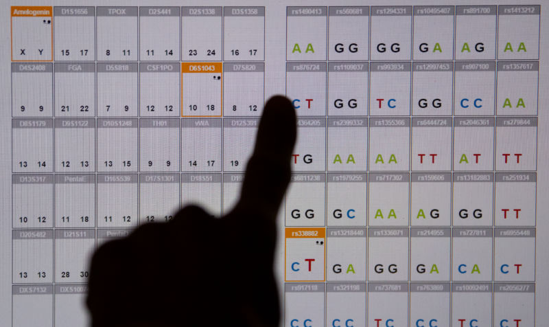 A DNA sequence analysis (genetic fingerprint) seen on a monitor in the Bavarian State Criminal Police Office in Munich, Germany. 