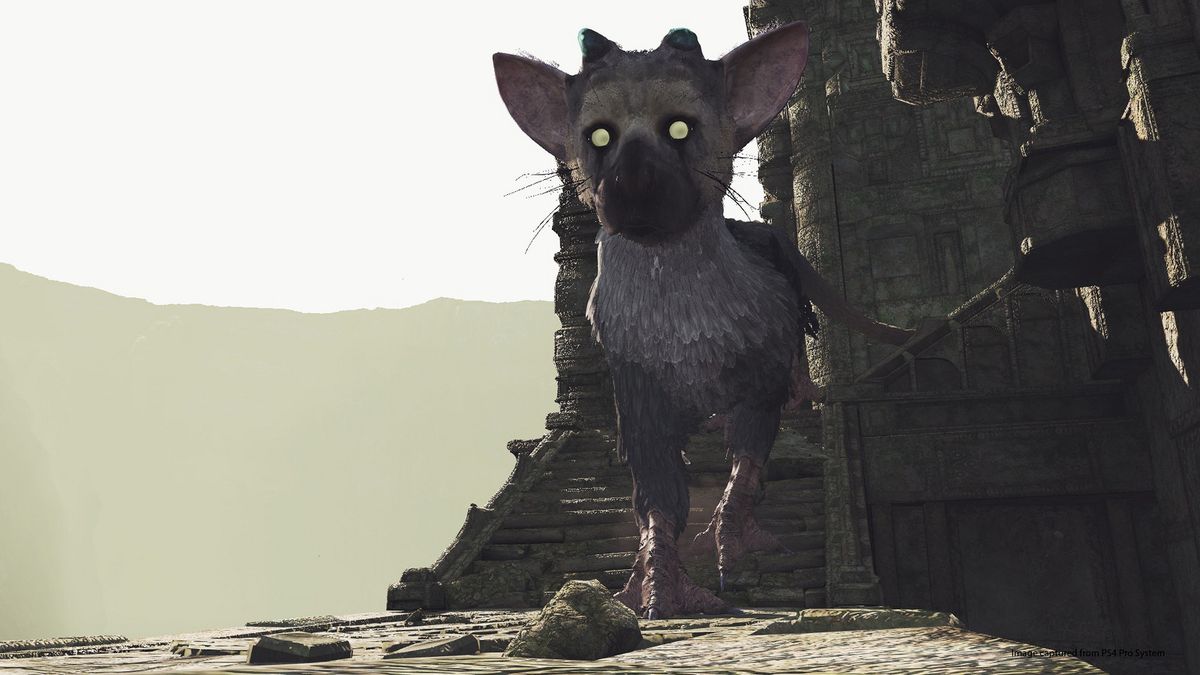 The Last Guardian VR