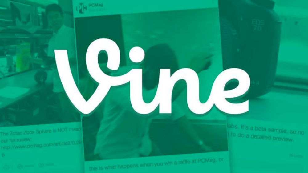 Vine