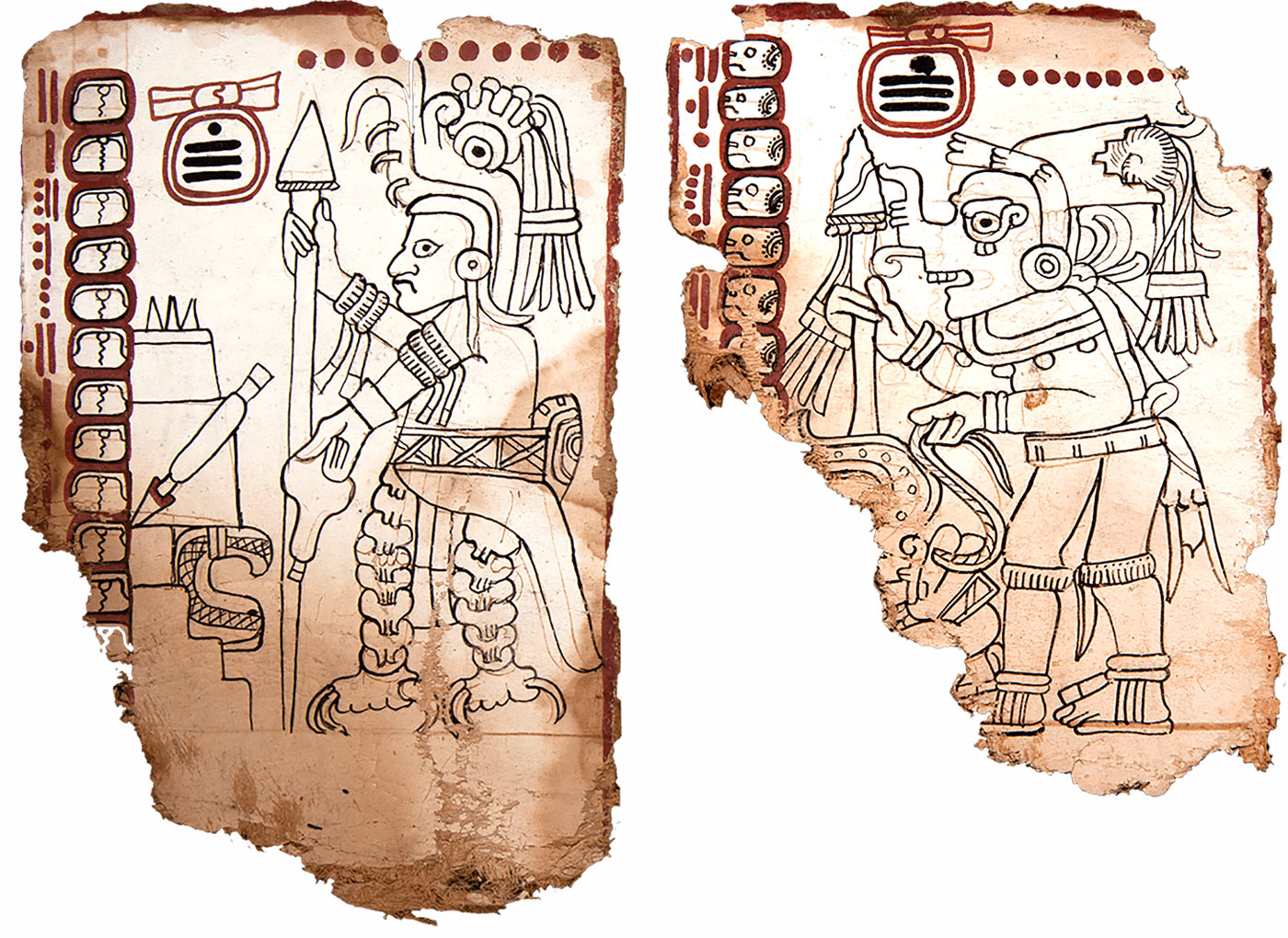 Pages from the Maya Codex of Mexico