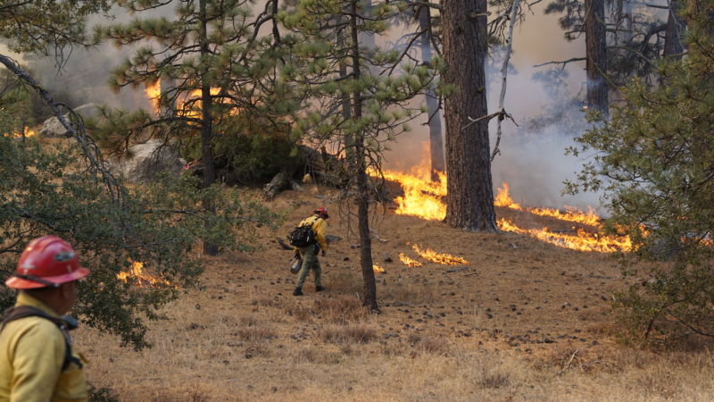 Crews carrying out a prescribed burn in California's San Bernardino National Forest.