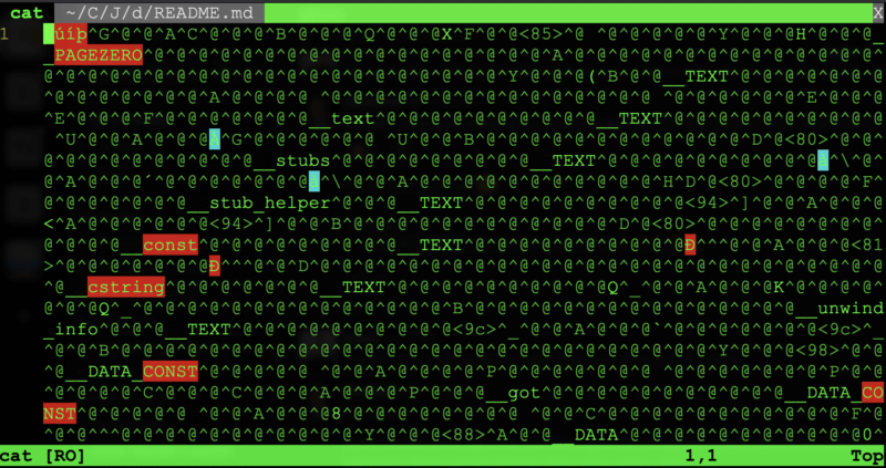 Binary File