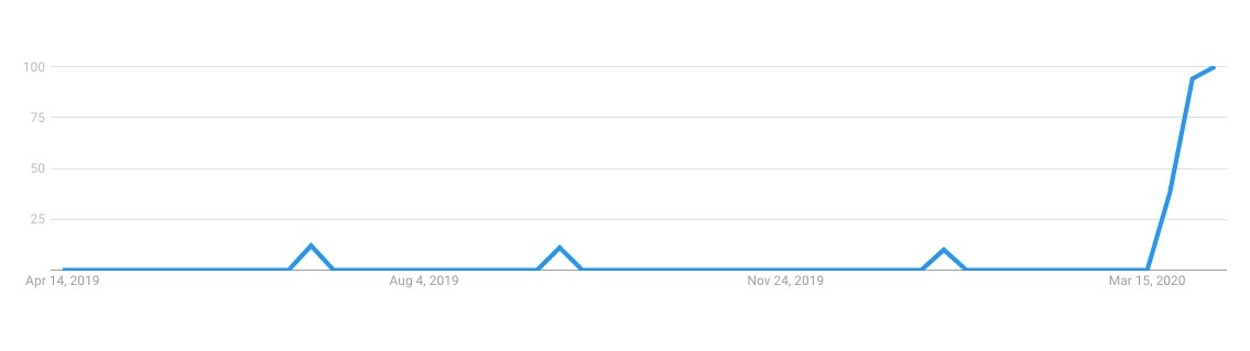 "how to look good on zoom" search trend in COVID-19 times