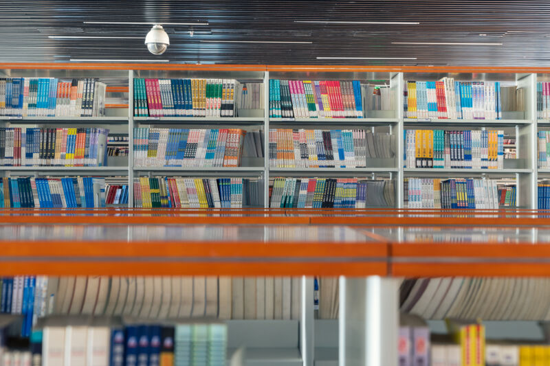 Bookshelves upon bookshelves