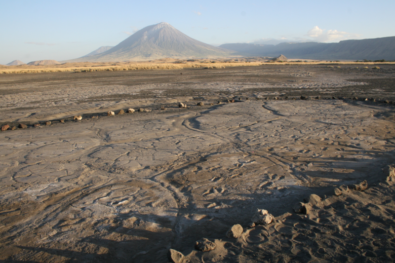 Footprints capture a lakeside stroll by a group of ancient hunter-gatherers