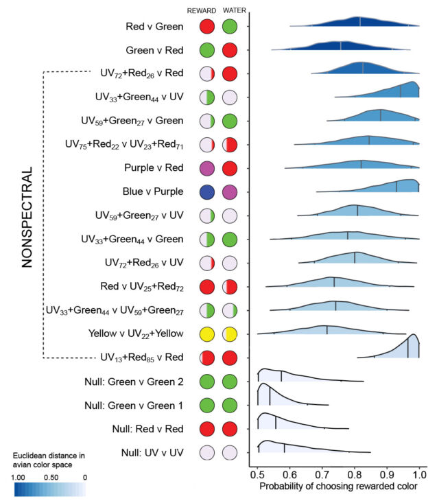 Results for each color-pair experiment, including the four controls where both colors were the same (bottom). The blue-to-gray shading of the data represents how far apart the two colors were in terms of color space.