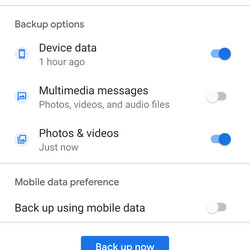 <em>You can then choose among three types of data to back up via Google One.</em>