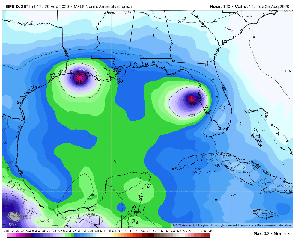 The 12z run of the GFS model from August 20 shows two tropical storms in the Gulf of Mexico early next Tuesday. 