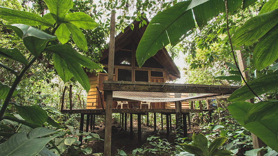 an outdoor treehouse in a rainforest