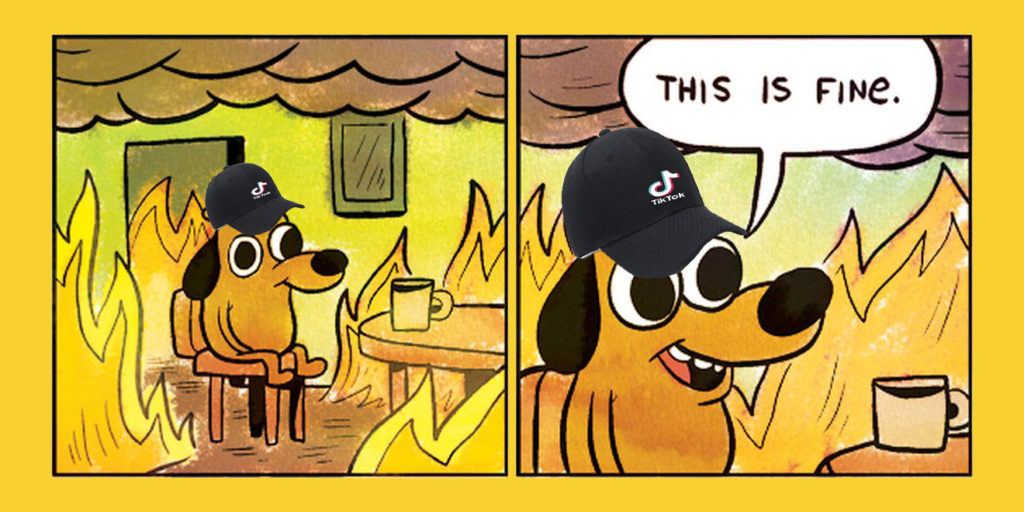 dog in the this is fine meme with a tiktok hat on