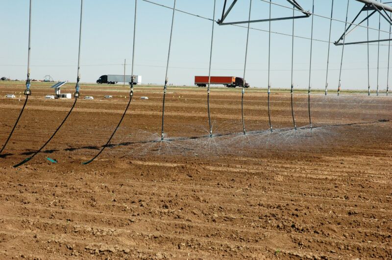 Low-hanging sprinklers irrigate seemingly barren farmland.