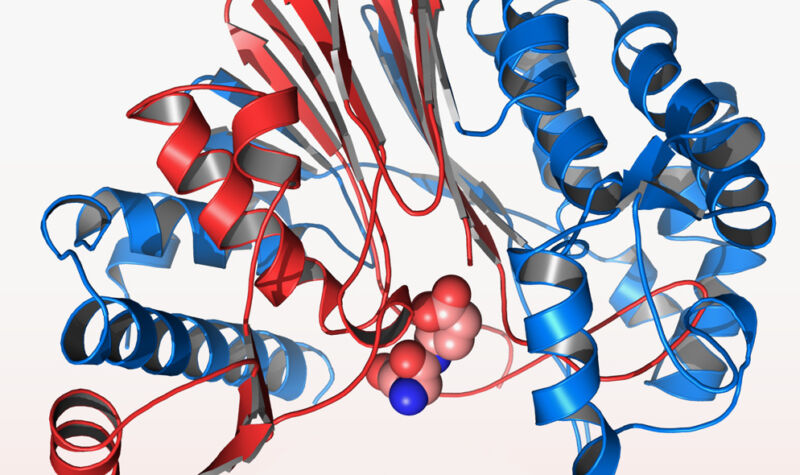 Proteins rapidly form complicated structures which had proven difficult to predict.