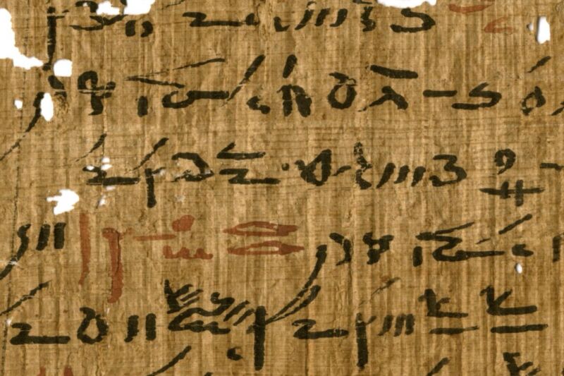 Detail of a medical treatise from the Tebtunis Temple Library with headings marked in red ink.