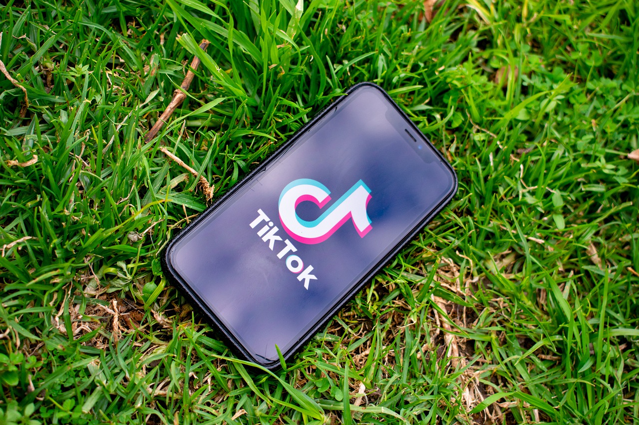 TikTok privacy