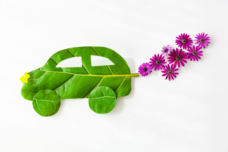 A picture of a car made out of a leaf, with flowers coming out of the tailpipe