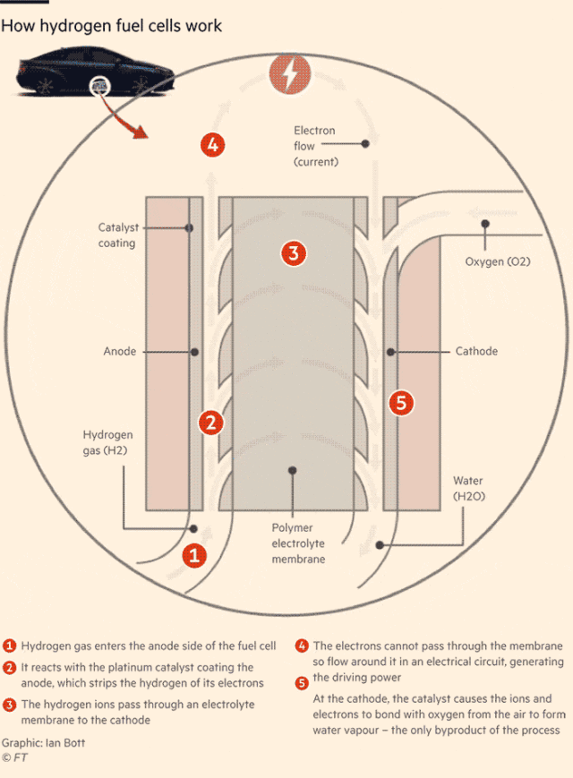 How hydrogen fuel cells work.