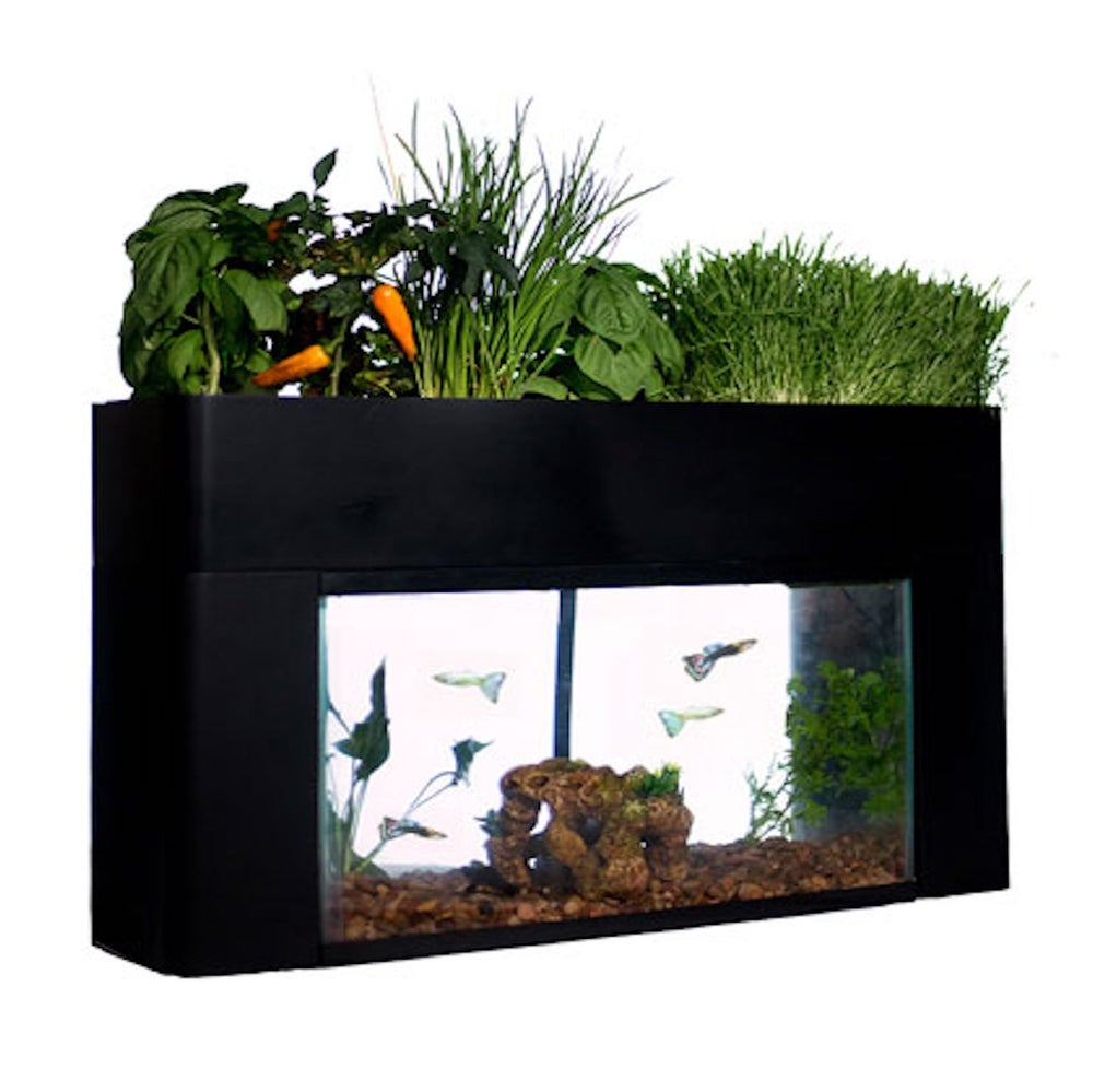 AquaSprouts Garden