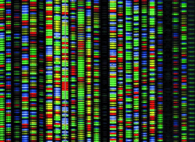 Fluorescent tagged DNA is the key to a new storage system.