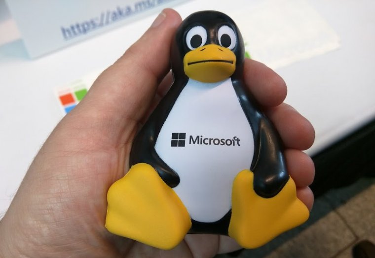 Close-up photograph of a hand holding a toy penguin.