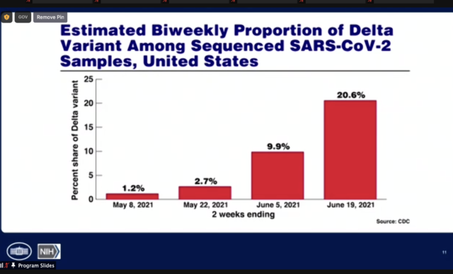 Graph showing the share of Delta cases in the US.