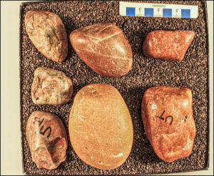 Stones that once resided in the digestive tract of giant sauropods.