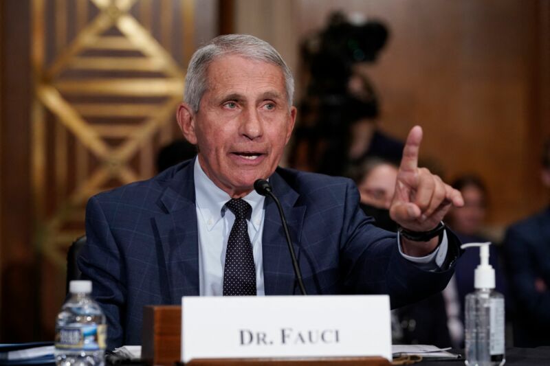 Dr. Anthony Fauci, director of the National Institute of Allergy and Infectious Diseases, during a Senate committee hearing on Capitol Hill in Washington, DC, on July 20, 2021.