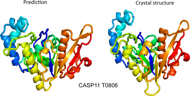 Image of two multi-colored traces of complex structures.