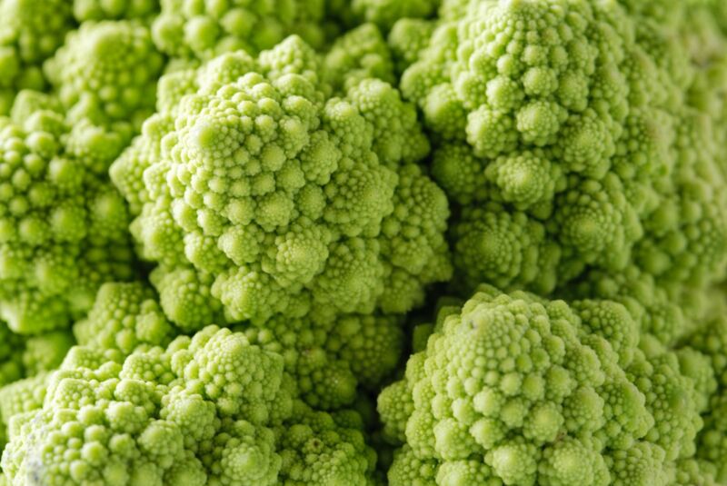 Macro-photo of green Romanesco cauliflower showcases the vegetable's striking fractal pattern.