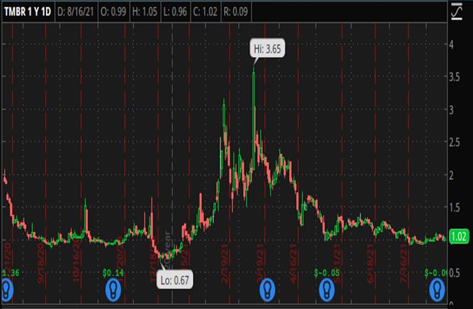 Penny_Stocks_to_Watch_Timber_Pharmaceuticals_Inc_TMBR_Stock_Chart