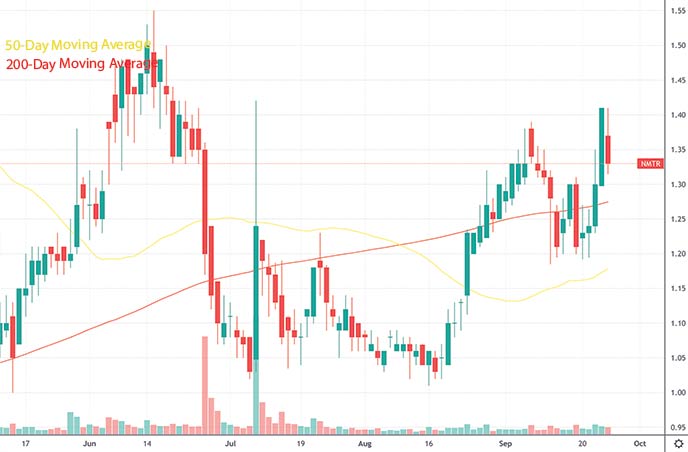 top penny stocks to watch this week 9 Meters Biopharma Inc. NMTR stock chart