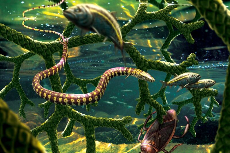 In this artist's representation, <em>Tetrapodophis amplectus</em> glides through a tangle of branches from the conifer <em>Duartenia araripensis</em> that have fallen into the water, sharing this habitat with a water bug in the family <em>Belostomatidae</em> and small fish.”><figcaption class=