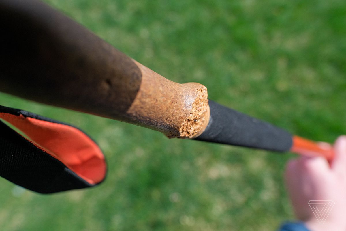 Cork is apparently a yummy snack to nighttime critters. 