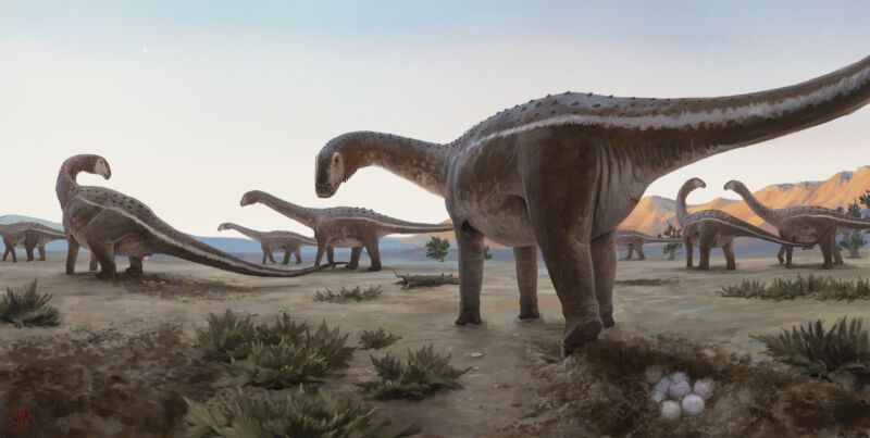 Titanosaur nesting spot found in Brazil