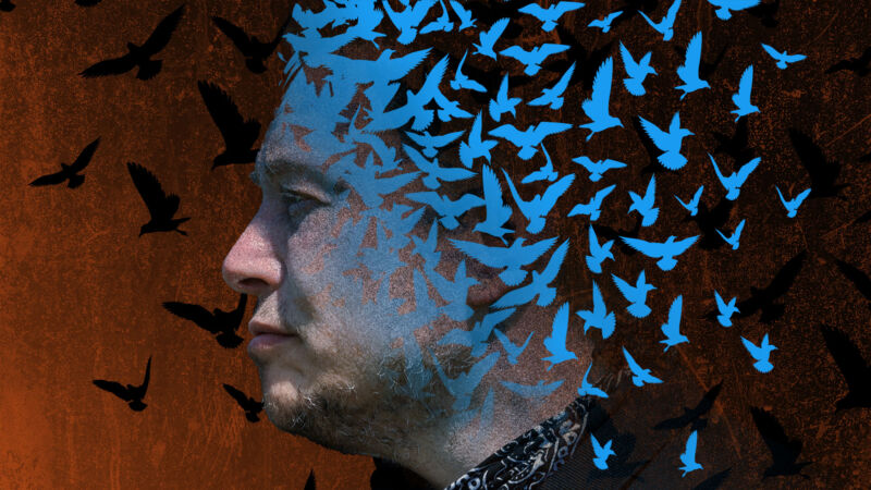 Illustration of Elon Musk surrounded by birds in the shape of Twitter's logo.