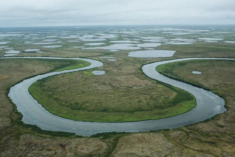 Thawing permafrost exposes old pathogens—and new hosts